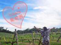 2024春天好去處：Issara莊園酒莊薰醉迷人之旅