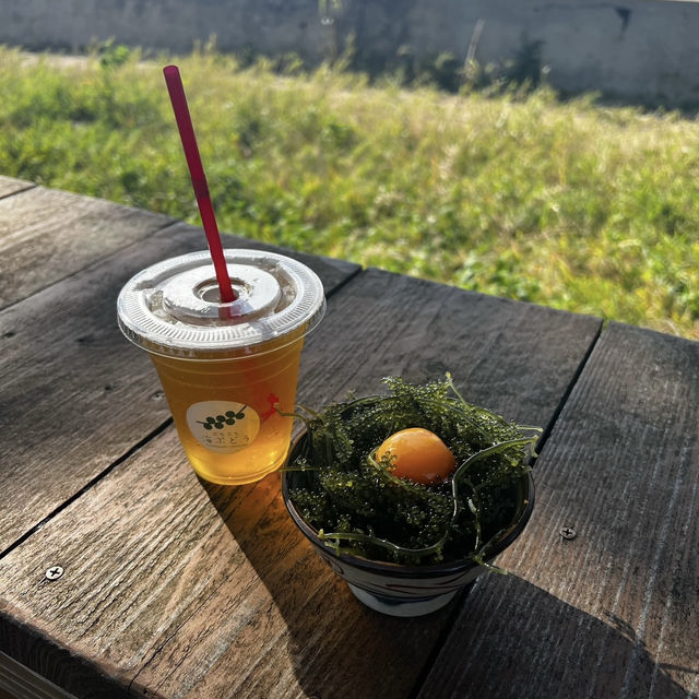 【沖縄】新鮮な海ぶどうが食べれるお店！