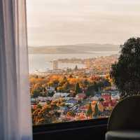 Experience Modern Comfort at Slow Beam, West Hobart