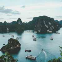 Vietnam: A Tapestry of Heritage, Landscapes, and Flavors