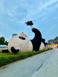 【四川】都江堰仰天窩自拍熊貓、南橋藍眼淚