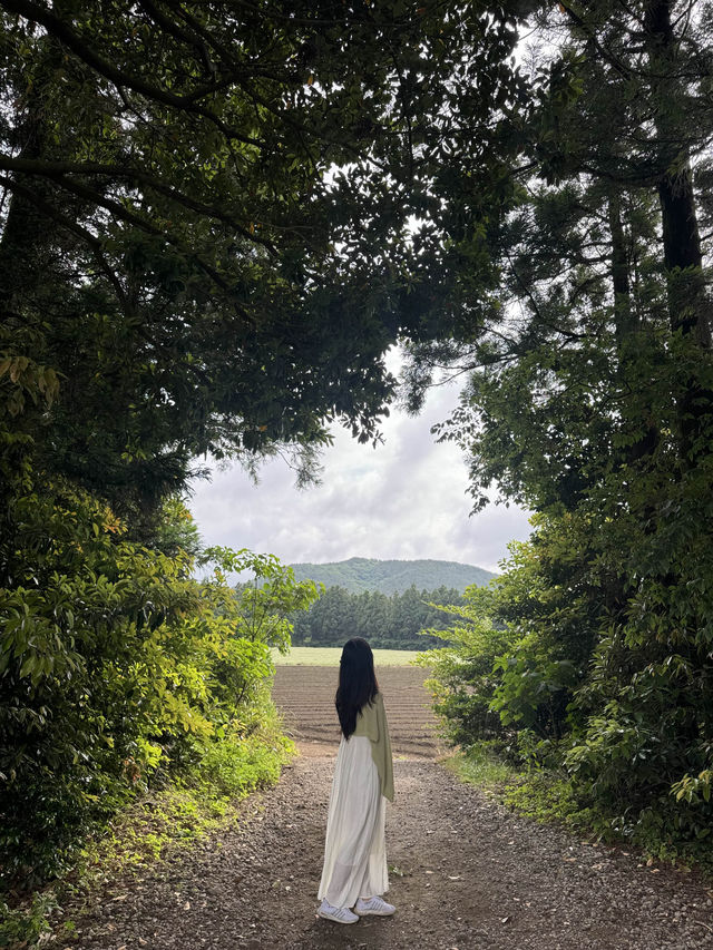 건축상을 받은 싱그러운 감성카페