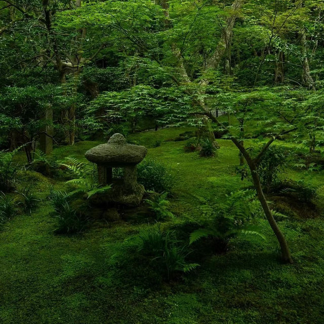 「增上寺：東京歷史寺廟，不容錯過！」