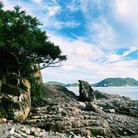 玉桂山鴨脷排行山攻略