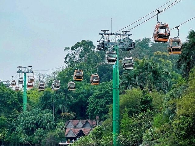 🏞️ Visit Chimelong Safari Park