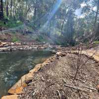 Araluen Botanic Park in Perth WA, perfect place for a weekend getaway