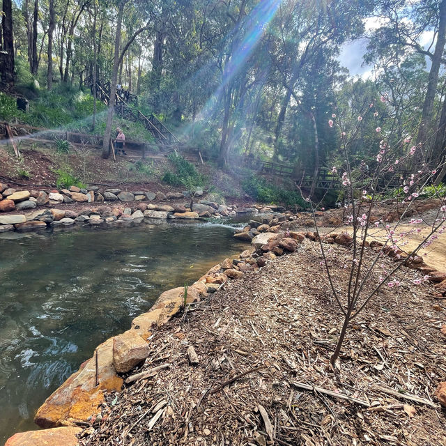 Araluen Botanic Park in Perth WA, perfect place for a weekend getaway