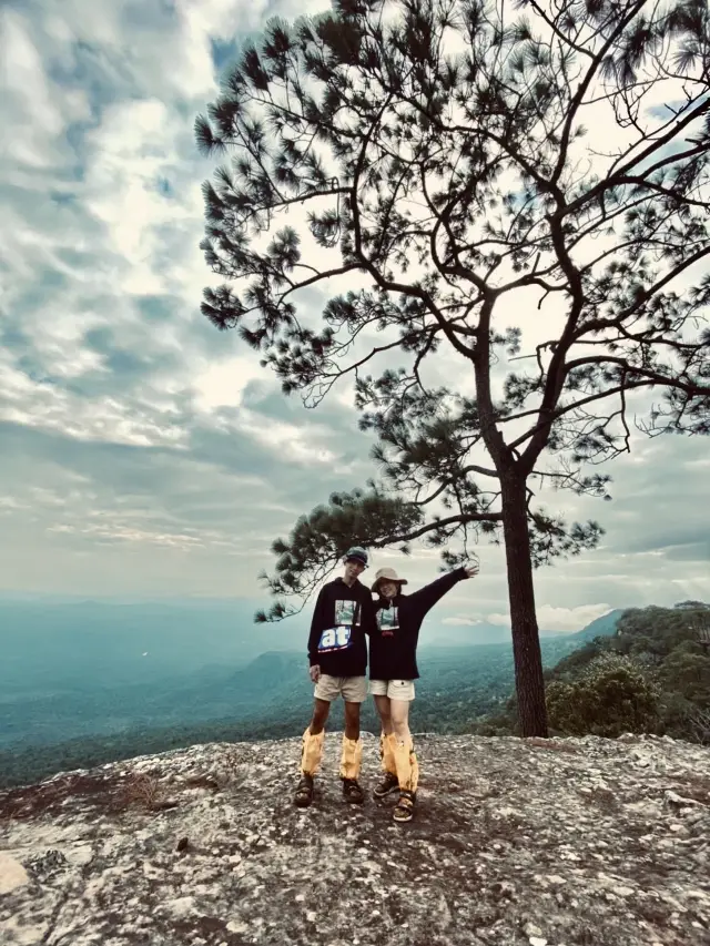 🍁 ครั้งหนึ่งในชีวิตเราคือผู้พิชิตภูกระดึง จ.เลย 🍁