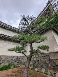 日本大阪-拍攝大阪城的絕佳之處：西の丸庭園