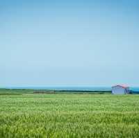 Jeju: The Enchanting Island of Natural Beauty and Myth
