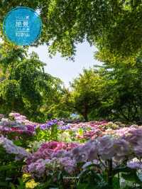 💚ハートの空と紫陽花が撮れる絶景カフェ☕✧