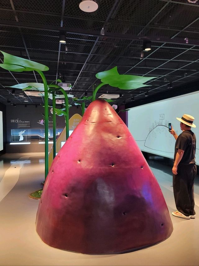 가족나들이코스 영도 조내기 고구마 기념공원🍠