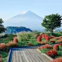 Oishi Park 