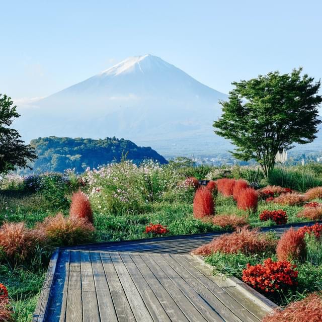 Oishi Park 