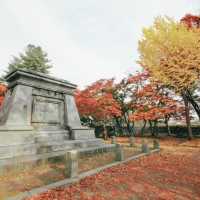 🍜ชวนกินเมนูเส้นจนจุใจใน “โมริโอกะ (Morioka)”