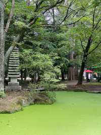 【帯広】花手水で大人気の帯廣神社