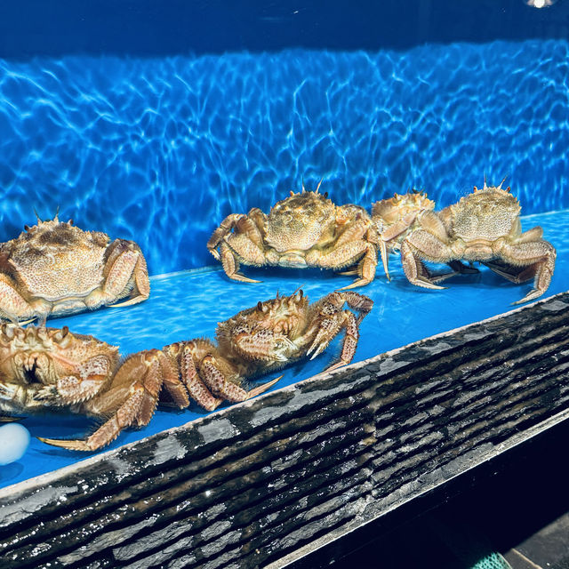 活蟹盛宴🦀蟹慶 (銅鑼灣)