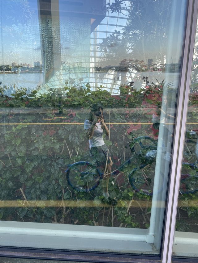ปั่นจักรยานที่ Singapore 🇸🇬🚲