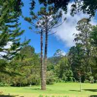 Victoria Park's Verdant Charm: Nuwara Eliya's Hidden Haven