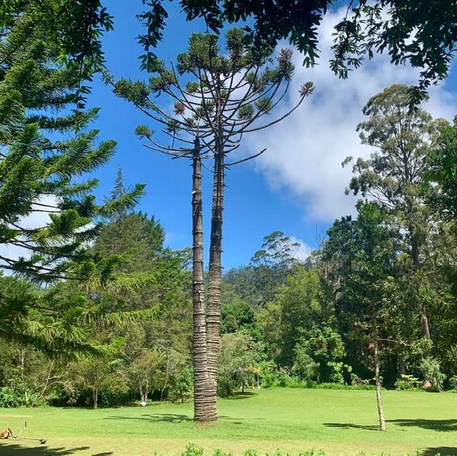 Victoria Park's Verdant Charm: Nuwara Eliya's Hidden Haven