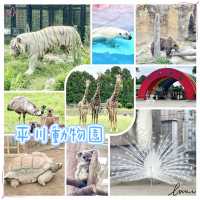 平川動物園-温泉、美景、可愛的動物，三者兼得
