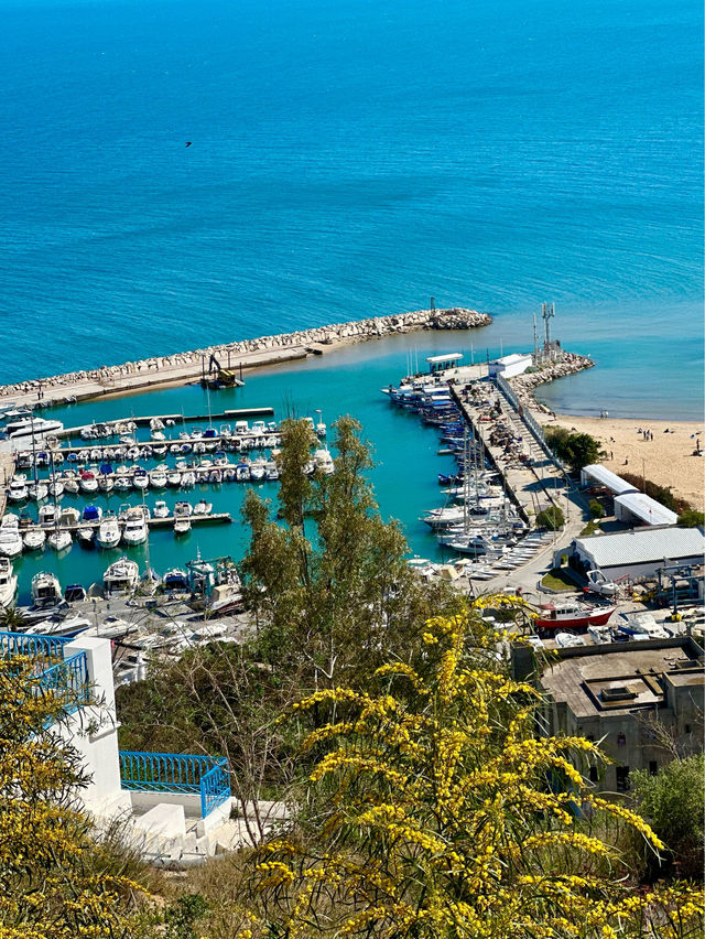 📍Sidi Bou Said, Tunisia 🇹🇳 