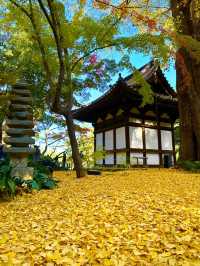 〜神奈川県〜横浜の小京都！秋の三溪園