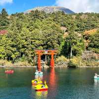 Anchors Aweigh in Hakone: Pirate Cruise and Ropeway Adventure