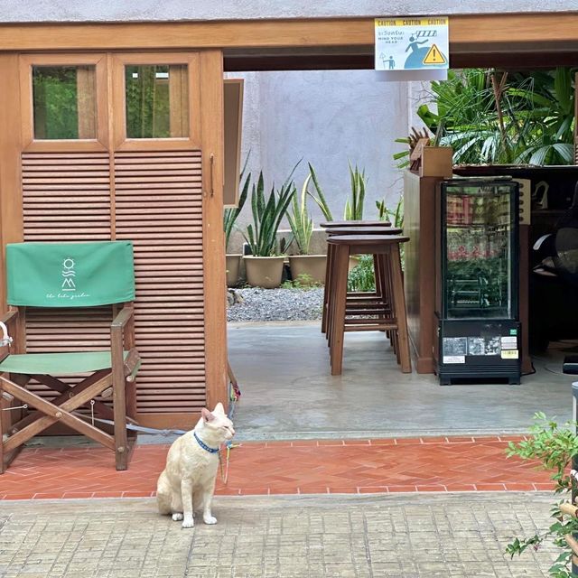 พักผ่อน ฟาร์มสเตย์ฮีลใจ ใกล้กรุงเทพ🪿🧺🌳