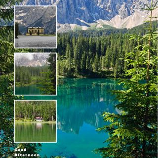 【湖畔寶藏】Wilcox Lake～放鬆身心、親近自然的絕佳去處