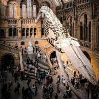 The Ultimate London Experience