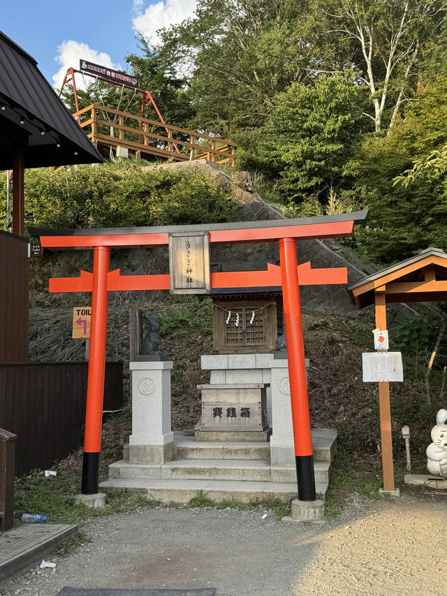 富士山の見える絶景スポット【山梨】