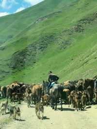 Truso Valley🇬🇪หมู่บ้านแห่งความฝัน