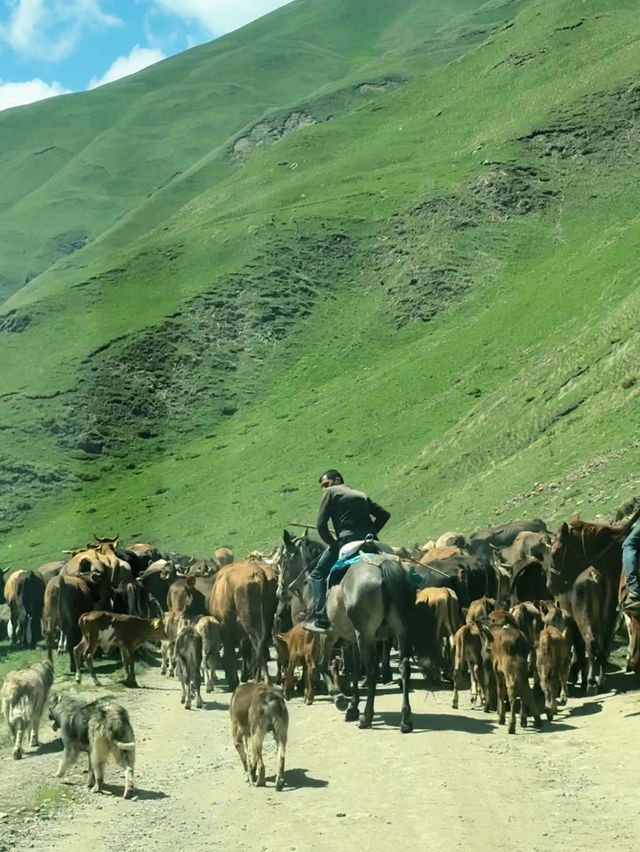 Truso Valley🇬🇪หมู่บ้านแห่งความฝัน