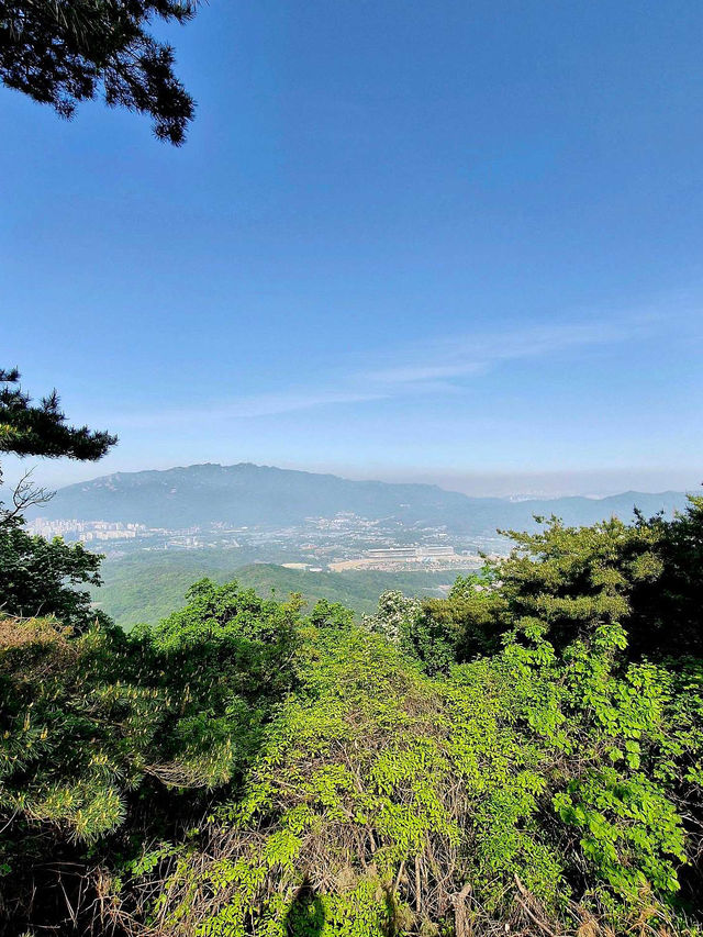 ✨가족과 함께 서울 근교 청계산 추천해요😘