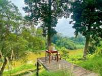 Leaf Garden แก่งคอย