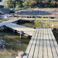 【多摩川】多摩川台公園 - 見所満載の散策コース -