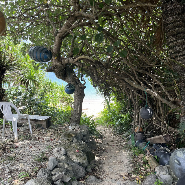 奄美 加計呂麻島🏝