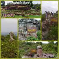 ทริปวันเดียวเที่ยว2อุทยาน ณ จ.ชัยภูมิ