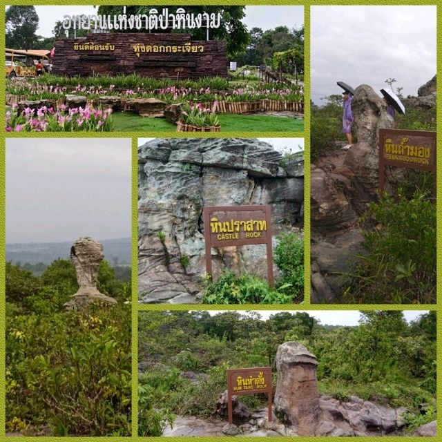 ทริปวันเดียวเที่ยว2อุทยาน ณ จ.ชัยภูมิ