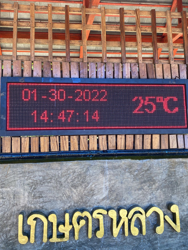 ศูนย์พัฒนาโครงการหลวงขุนวาง