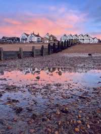 The world is your oyster • Whitstable