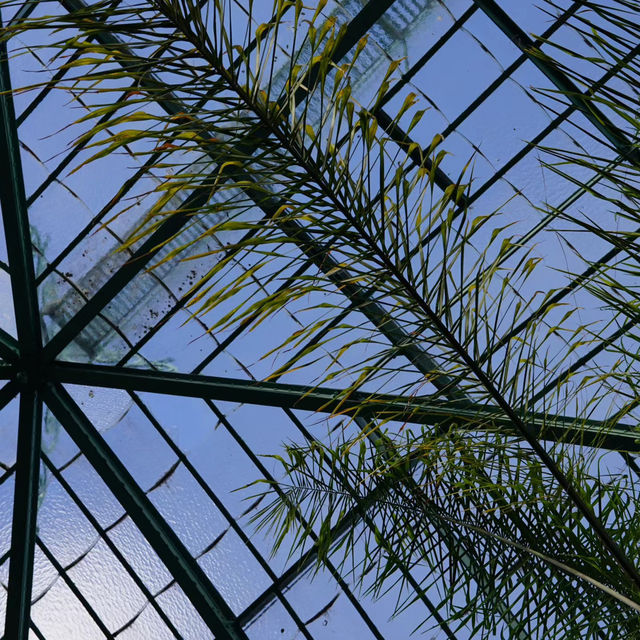 劍橋大學植物園🛟全面瞭解大自然的鬼斧神工