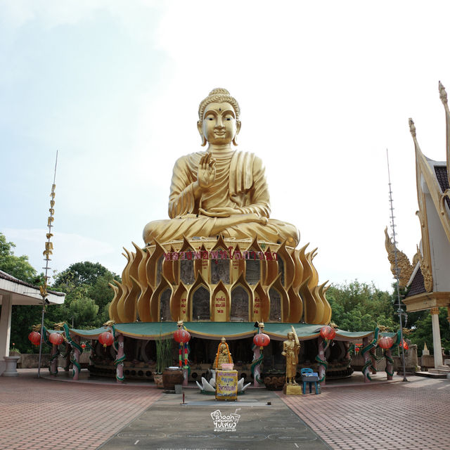 ไปพิชิตยอดมังกรที่ "วัดสามพราน" 