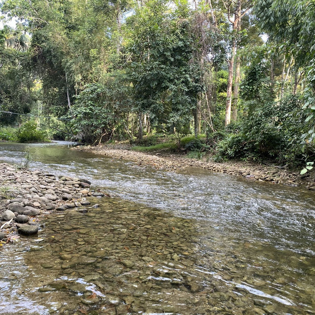 ล่องแพไม้ไผ่วังเคียงคู่ 