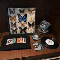 คลาสสิคมาก aftersun Listening Bar