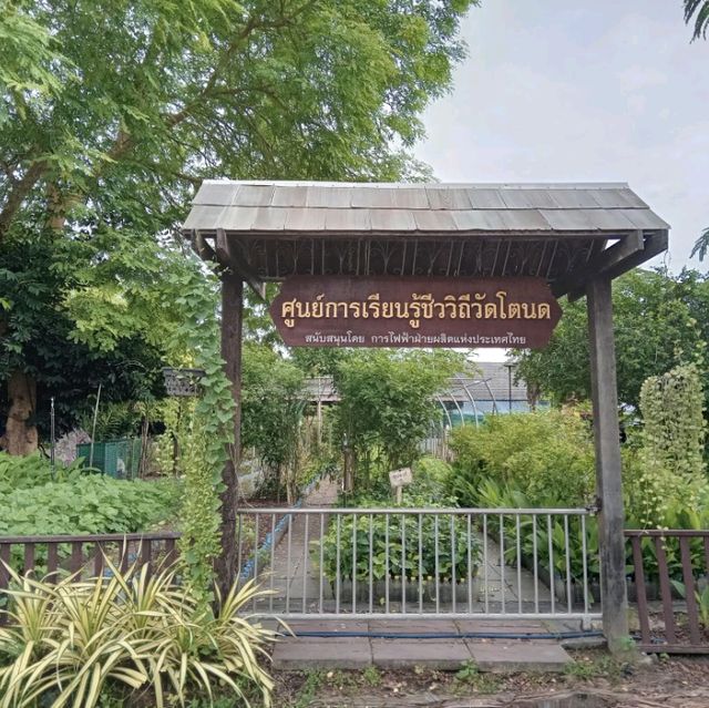 วัดสวยแปลก บรรยากาศดี "วัดโตนด"🌟