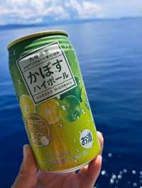 【宇和島運輸フェリー:愛媛県八幡浜港→大分県臼杵港行】快晴に白い雲と青い海が輝く✨