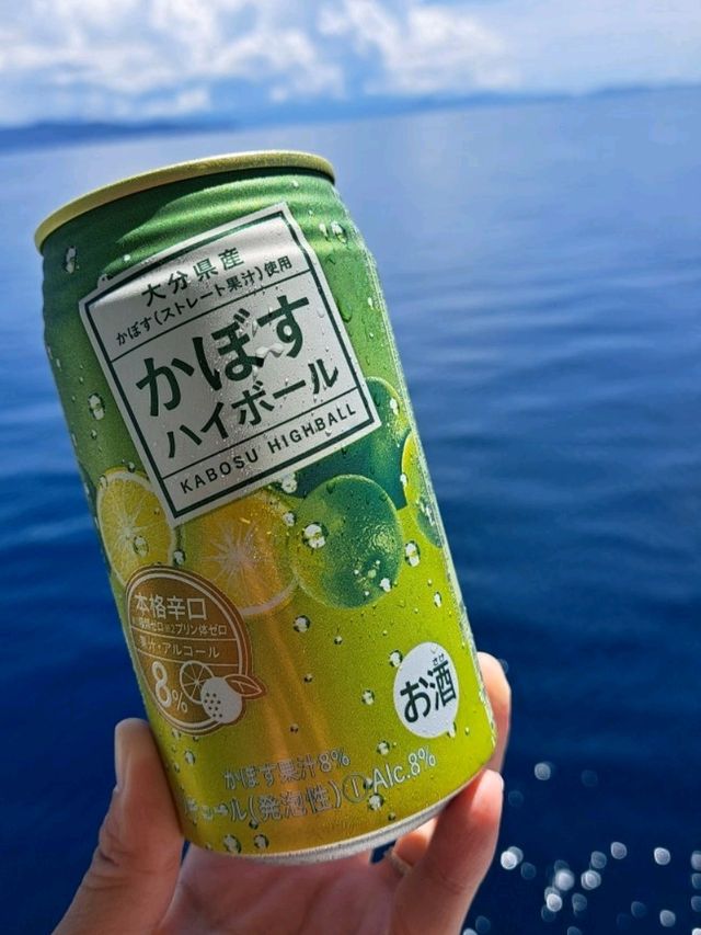 【宇和島運輸フェリー:愛媛県八幡浜港→大分県臼杵港行】快晴に白い雲と青い海が輝く✨