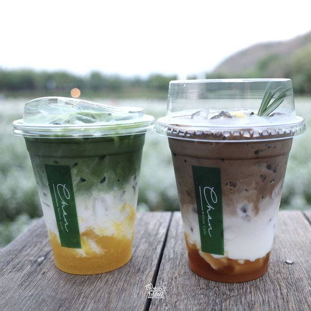 “CHAN Nature Cafe’”